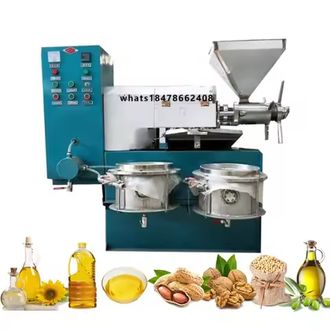 High Quality Baobab Seed Oil Pressing Machine Barbarism Fig Oil Machine Cashew Nut Oil Extraction