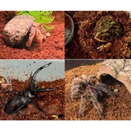 >> reptile pine bark tropical terrarium substrate succulent breeding bedding gecko snake lizard tort