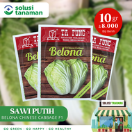 Benih Sawi Putih Belona Chinese Cabbage F1 10 gr (8.000 Biji) Bibit Sawi Putih Belona Benih Sawi Ta 
