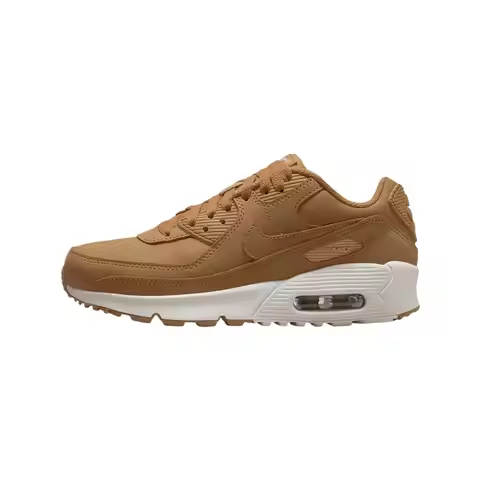 Nike Air Max 90 Big Kids' Shoes