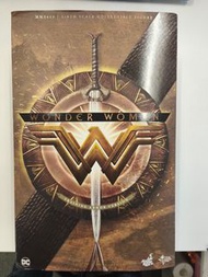 Hot Toys Wonder Woman Training Armor Version Figure