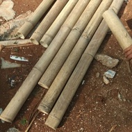 Round bamboo bamboo fence support pole