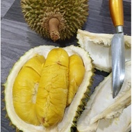 BAJA LENGKAP UNTUK TANAMAN DURIAN [25KG]