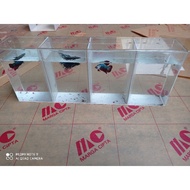 Custom aquarium 48x10x12