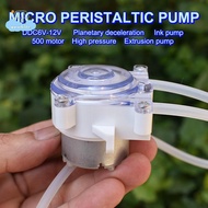 [LI] Micro Peristaltic Pump DC 6V-12V Small Mini 500 Geared Motor For Lab Ink Sampling Pump 【IE】