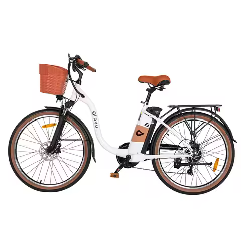 DYU C6 pro Adult Electric Bicycle, 250W city ebike, 36V 15.6AH E-bike, 26 Tire Electric Bike