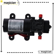 MAG 12V DC Water Transfer Pump, 12 Volt Electric Diaphragm Pump, with Pressure Switch 4.5 L/Min 1.2 GPM 80 PSI Agricultural Water Pump for Weed ATV Marine Boat