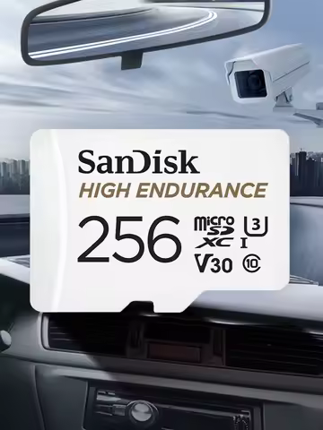 SanDisk High Endurance Micro SD Card MicroSDHC 32GB C10 U3 V30 4K MicroSDXC 64GB 128GB 256GB Memory 