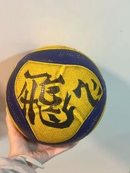 米卡萨正版排球v300w