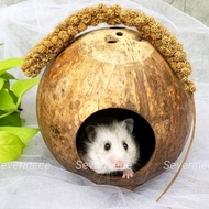 Whole coconut Hideout hamster | Coconut hamster House | Hamster House
