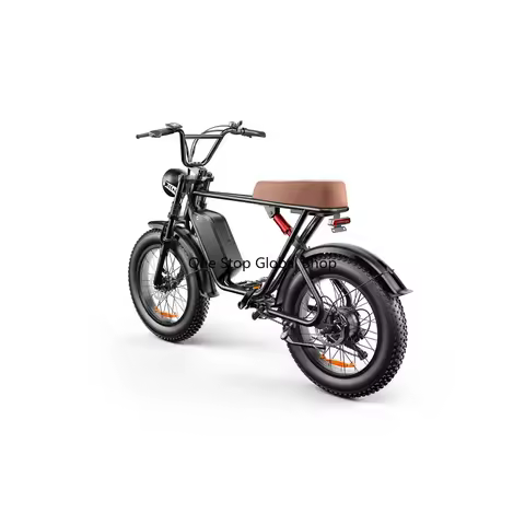 C91 Refurbished Bike Fat Tire 20inch*4.0 48V 20Ah 1000W Bafang 80km Range 50km/h Max Speed 150kg