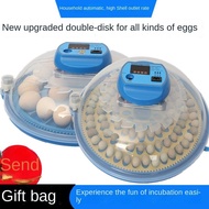 Ready Stock Luding Chicken Incubator Household Home Version Fully Automatic Smart Small Flying Saucer Incubator Small Egg Tray Incubator