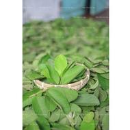 Dried Guava Leaves 6kg