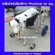 wheelchair4dog รถเข็นสำหรับสัตว์พิการแบบ 4 ล้อ dog wheelchairล้อเลื่อนสำหรับสุนัขพิการ หรือสัตว์ที่มีอาการอัมพฤกษ์ อายุมาก อ่อนแรง(ทักแชททุกครั้ง)