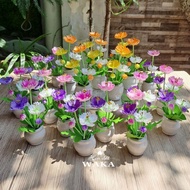 Mini Clay Flowers - Mini Star Pot 12cm