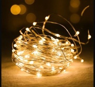 (Can Swap 可交換) Copper String Lights Decoration LED Lamp Bulb 33feet with Controller (Christmas X'mas light) 燈串 (聖誕燈飾 氣氛燈串)