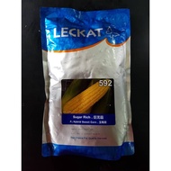Jagung F1 Hybrid 592 Leckat 500GM