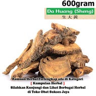 [600gram] Da Huang - Radix Et Rhizoma Rhei