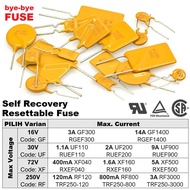 PPTC Self Reset Fuse Automatic Fuse 250V 0.8A RF800 Auto Reset Fuse