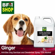 Anti Bac Dog Sanitizer and Deodorizer Spray (ABPSD-Dog) - 75% Alcohol - Ginger - 5L Dog Puppy⭐⭐⭐⭐⭐