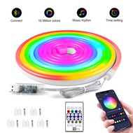 cod WS2812 RGBIC Neon RGB LED Strip Dimmable 5V USB LED Light Tape Ribbon For Smart APP Bluetooth Co