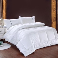 Thicken White Plain Comforter Hotel Quality Double size Queen size King size Comforter Cotton Quilts