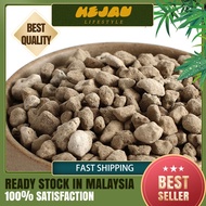 【24H SHIP OUT】200g/500g/1kg (1-3mm/3-5mm/5--8mm) Pumice Stone Cactus Succulent Soil Filter Media Aqu