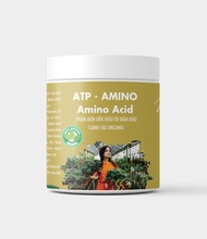 ATP Farm - ATP - Amino : Amino Acid phân bón hữu cơ cao cấp chiết xuất từ quá trình thủy phân enzym