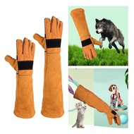 [kanye2dc] Pet Handling Gloves Anti Tear Dog Beauty PU Leather Gloves Practical Sturdy Soft for Zoo 