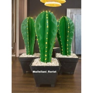 Artificial Cowboy Cactus Plant Table Decoration - PP KKTS
