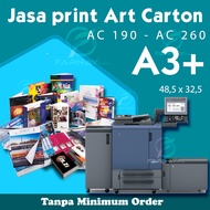 A3+ Size Poster Art Paper Art Carton Material A DAY DONE