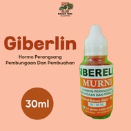 30 ml Giberelin Auksin  Sitokinin Anrin Paclobutrazol zpt hormon tanaman