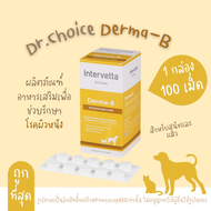 (100 เม็ด) Dr.Choice Derma-B อาหารเสริมบำรุงผิวหนัง บำรุงขน สุนัข แมว(สีเหลือง)