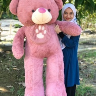 ♥️ HADIAH BIRTHDAY | HADIAH ANNIVERSARY BEAR CUTE HIFIVI ♥️