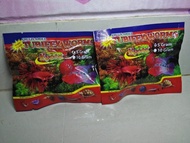 Tubifex worms / Cacing Kering / Caker / Makanan Kering Ikan