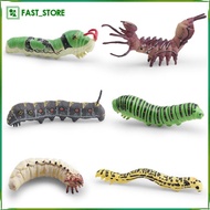 [Wishshopelxn] 6 3D Simulation Larvae Models, Educational Model Decor, Miniature Layout, Caterpillar