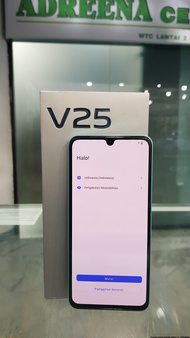 Vivo V25 Ram 8 Rom 256GB (SECOND)