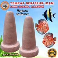 tempat bertelur ikan DISCUS MANFISH cone discus