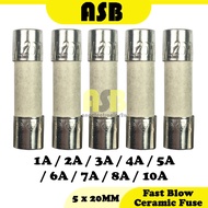 ( 5pcs ) Fast Blow Ceramic Fuse ( 5 X 20 MM )