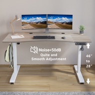 Mxtark 55 inches 1.4M Electric Standing Desk Single Motor Desk Height Adjustable Stand Desk