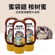 Honey Glider Favorite Eucalyptus Honey Snacks Young Honey Skunk Nutritious Brewing Honey Food Young 