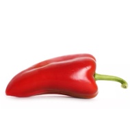 Snack pepper red 'Arwen' plant seed