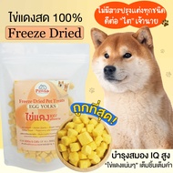 (PAWSA) ขนมหมา ขนมไข่แดงฟรีซดราย ขนมฟรีซดราย ไข่แดงฟรีซดราย ขนมหมาไม่เค็ม