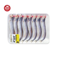 ?WB8 Shisamo Fish Capelin Fish/ 160-190gr kl6jv