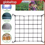 Elastic Mesh Planting Tentage Net Durable Support For Plant Growth Reinforced With Durable Polyester