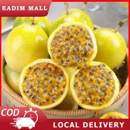 Panama Gold Passion Fruit Seeds - 50 Seed *Pot Friendly* Tanam Pasu Buah Markisa Kuning 巴拿马黄金百香果 - M