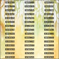 Sim số Mobi làm ăn xả kho