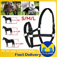 Horse Head Collar Halter Horse Riding Bridle Horse Riding Equipment PVC Horse Equestrian Accessories