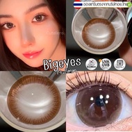 Choco 14.5mm ขนาดตาโต (Bigeyes) สายตาปกติ  กรองแสง uv ️จดทะเบียนถูกต้อง คอนแทคเลนส์สัญชาติเกาหลี oic