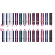 Nato strap for watches